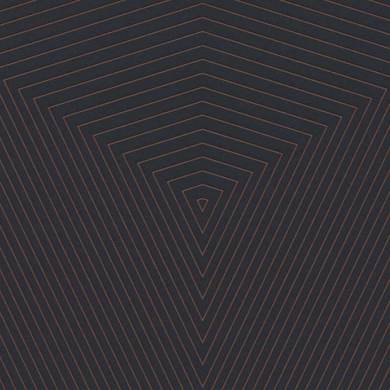 Black Lined Destiny Wallpaper