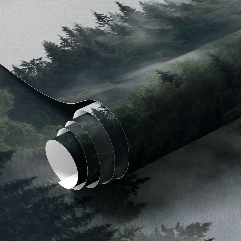 The Forest In The Morning - Image 2